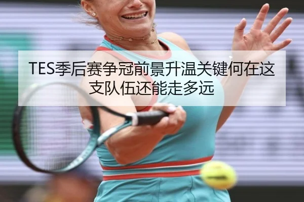 TES季后赛争冠前景升温关键何在这支队伍还能走多远